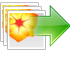 MAC DVD画像変換